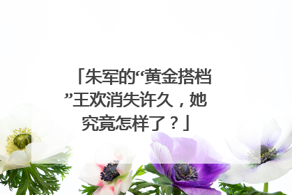 朱军的“黄金搭档”王欢消失许久,她究竟怎样了?