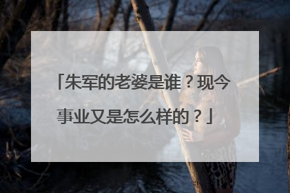 朱军的老婆是谁?现今事业又是怎么样的?