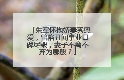 朱军怀抱娇妻秀恩爱,曾陷丑闻事业口碑尽毁,妻子不离不弃为哪般?