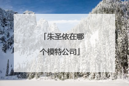 朱圣依在哪个模特公司