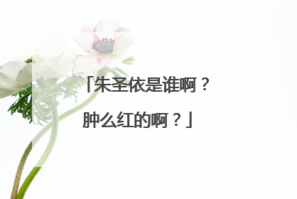 朱圣依是谁啊?肿么红的啊?
