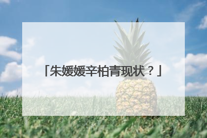 朱媛媛辛柏青现状?