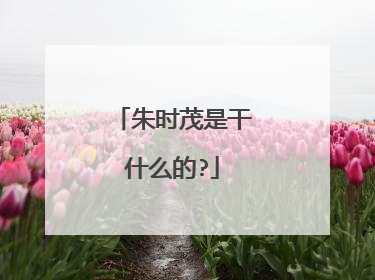 朱时茂是干什么的?