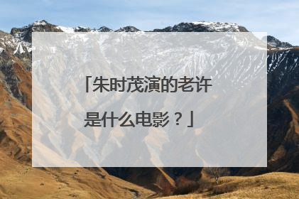 朱时茂演的老许是什么电影?