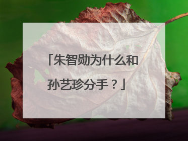 朱智勋为什么和孙艺珍分手？
