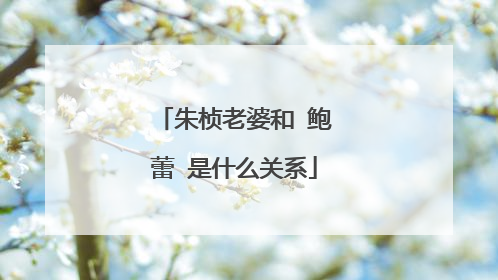 朱桢老婆和 鲍蕾 是什么关系