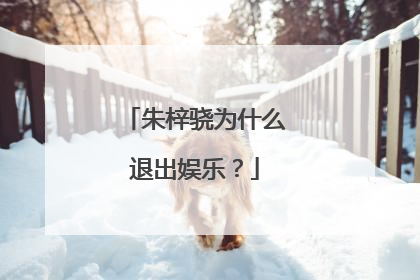 朱梓骁为什么退出娱乐?