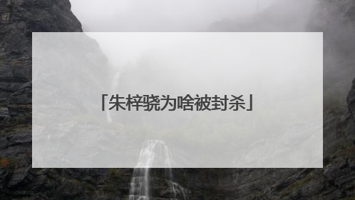 朱梓骁为啥被封杀