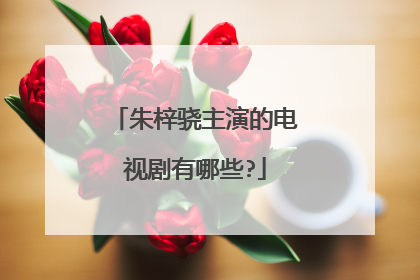 朱梓骁主演的电视剧有哪些?