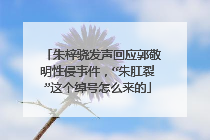 朱梓骁发声回应郭敬明性侵事件，“朱肛裂”这个绰号怎么来的
