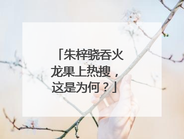 朱梓骁吞火龙果上热搜，这是为何？
