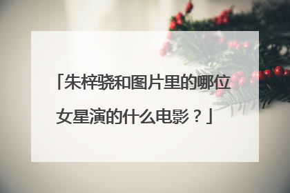 朱梓骁和图片里的哪位女星演的什么电影？