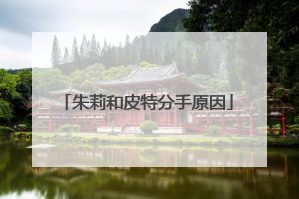 朱莉和皮特分手原因