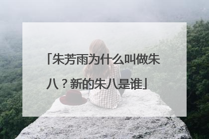 朱芳雨为什么叫做朱八?新的朱八是谁