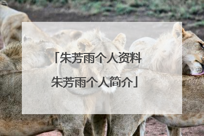 朱芳雨个人资料 朱芳雨个人简介