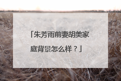 朱芳雨前妻胡美家庭背景怎么样?