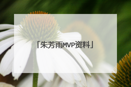 朱芳雨MVP资料