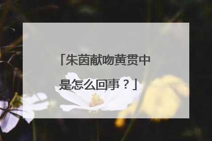 朱茵献吻黄贯中是怎么回事?