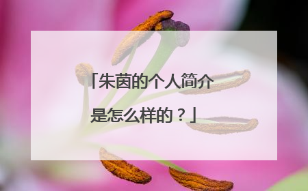 朱茵的个人简介是怎么样的？