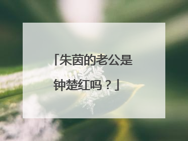 朱茵的老公是钟楚红吗？
