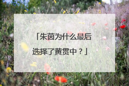 朱茵为什么最后选择了黄贯中？