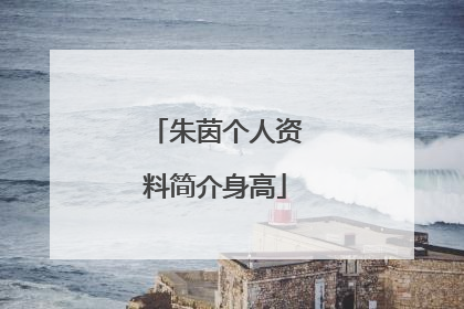 朱茵个人资料简介身高