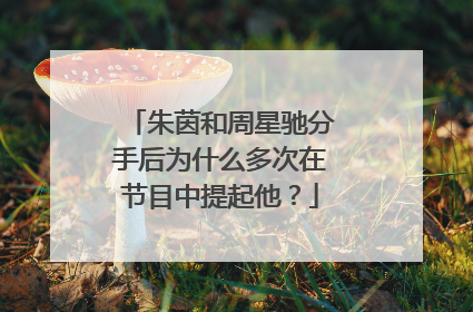 朱茵和周星驰分手后为什么多次在节目中提起他?