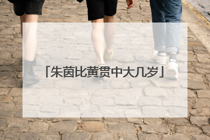 朱茵比黄贯中大几岁