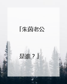 朱茵老公是谁？