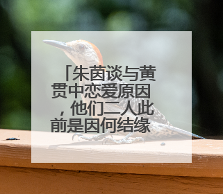 朱茵谈与黄贯中恋爱原因，他们二人此前是因何结缘的？