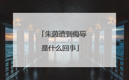 朱茵遭到侮辱是什么回事