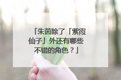 朱茵除了「紫霞仙子」外还有哪些不错的角色？