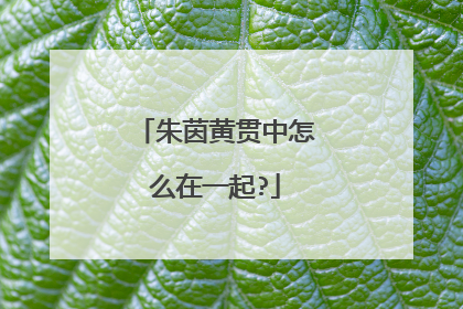 朱茵黄贯中怎么在一起?