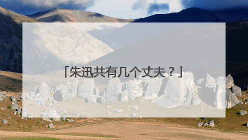 朱迅共有几个丈夫？