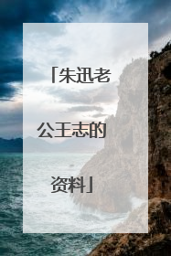 朱迅老公王志的资料