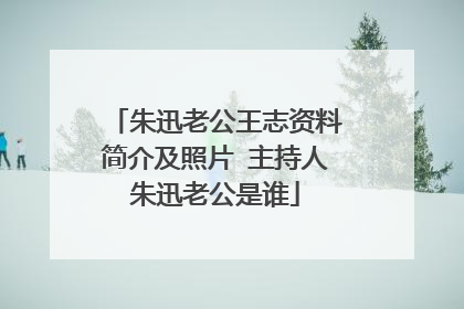 朱迅老公王志资料简介及照片 主持人朱迅老公是谁