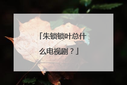 朱锁锁叶总什么电视剧？