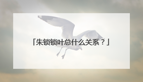 朱锁锁叶总什么关系？