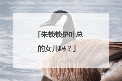 朱锁锁是叶总的女儿吗?