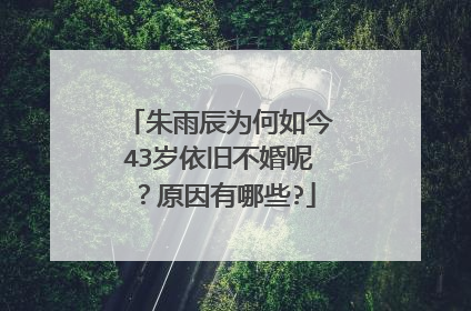 朱雨辰为何如今43岁依旧不婚呢?原因有哪些?