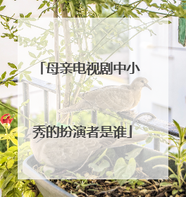 母亲电视剧中小秀的扮演者是谁