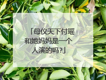 母仪天下付瑶和她妈妈是一个人演的吗?