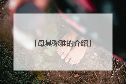 母其弥雅的介绍