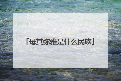 母其弥雅是什么民族