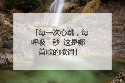 每一次心跳，每呼吸一秒 这是哪首歌的歌词