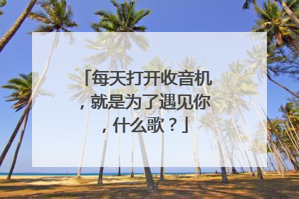 每天打开收音机,就是为了遇见你,什么歌?