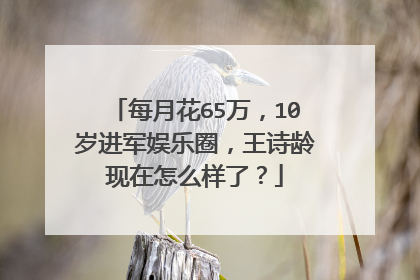 每月花65万,10岁进军娱乐圈,王诗龄现在怎么样了?