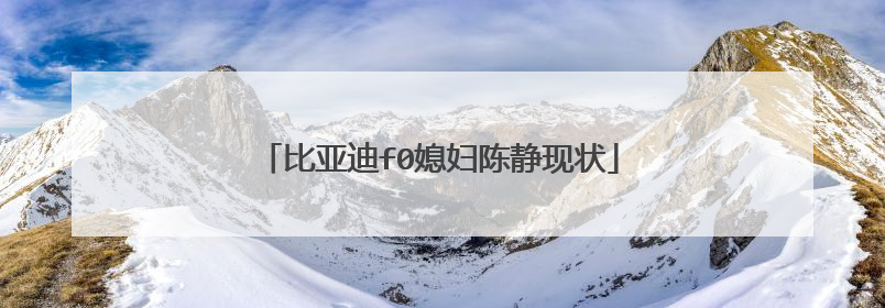 比亚迪f0媳妇陈静现状