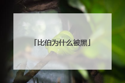 比伯为什么被黑