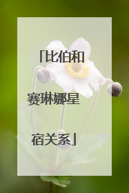 比伯和赛琳娜星宿关系